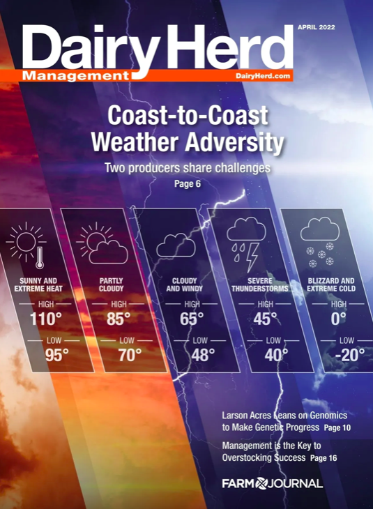 Issue Archive Dairy Herd